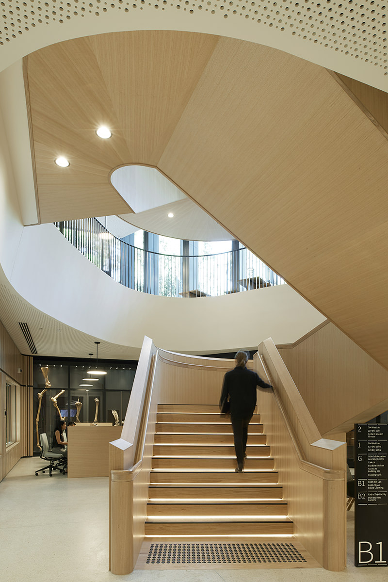 Climbing up the timber clad stairway at Melbourne Universitys WEB Building